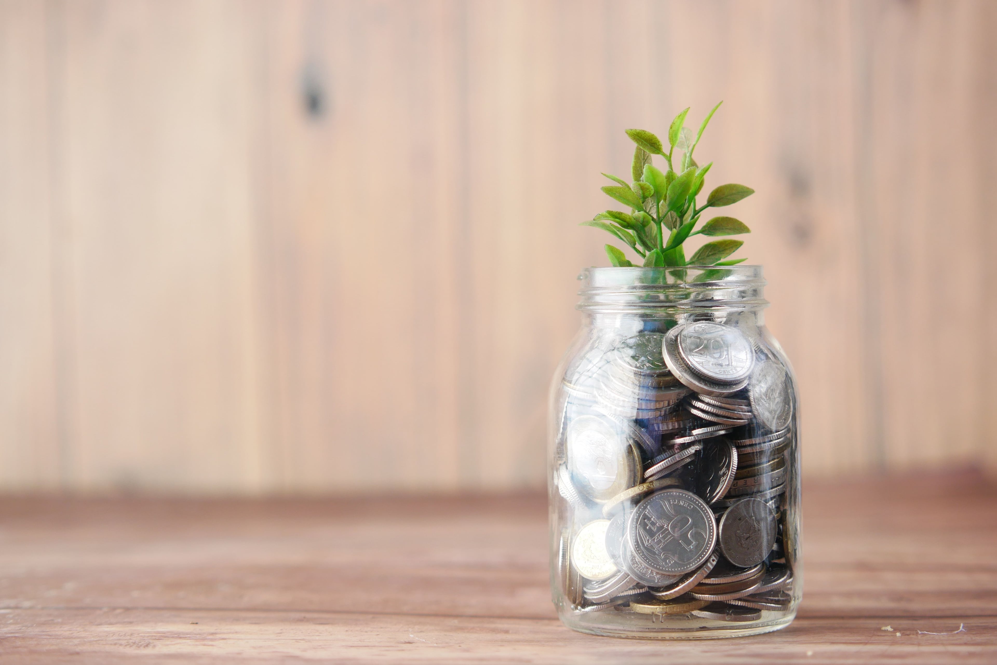 coins saved in a jar with a plant growing